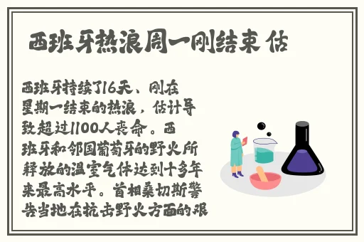 ysl蜜桃色8848舌尖美味官方